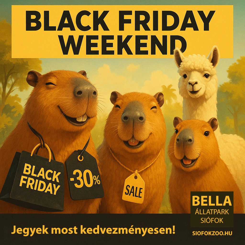 Black Friday - Bella Állatpark