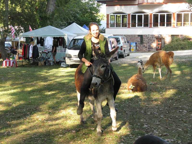 Bella Zoo Park, Siófok, Programs, Horse riding and camel riding